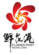 北京国际鲜花港