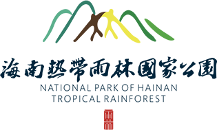 海南热带雨林国家公园